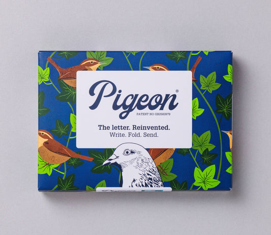 Robin & Wren Pigeon, Folding Letter Set – Pack of 6 Letters